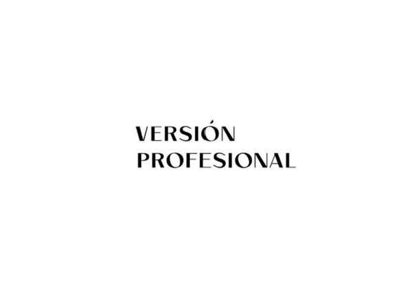 versionprofesional.com